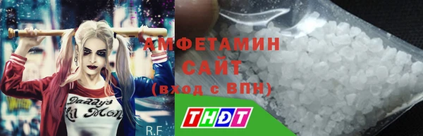 прущие грибы Абинск