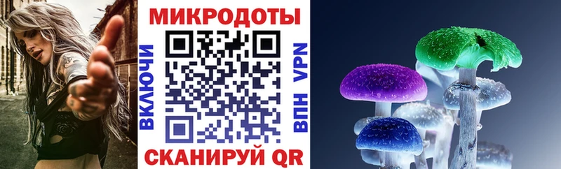 Галлюциногенные грибы Psilocybe  Дубна 